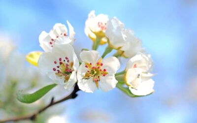 Proljetni odmor za učenike